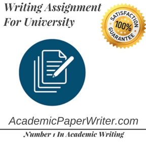 Academic writing assignment