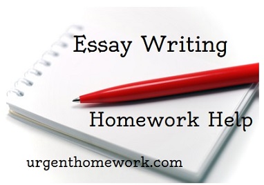 Help in writing an essay