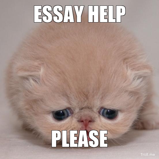 Essays help me