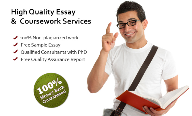 Pay to write an essay