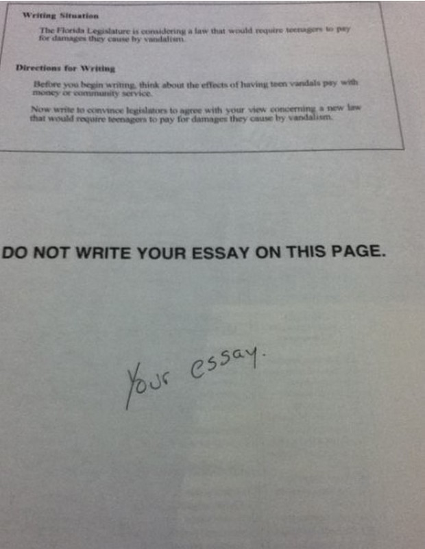 We do your essay