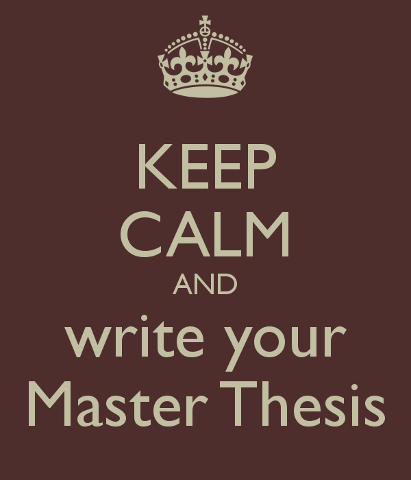 Master thesis service